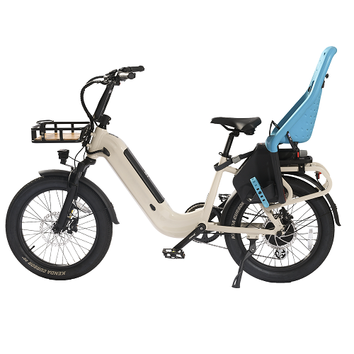 Electric bikes manufacturer from China